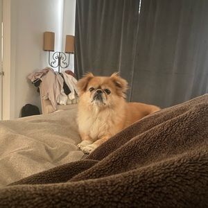 Meet your Posher, Alexander